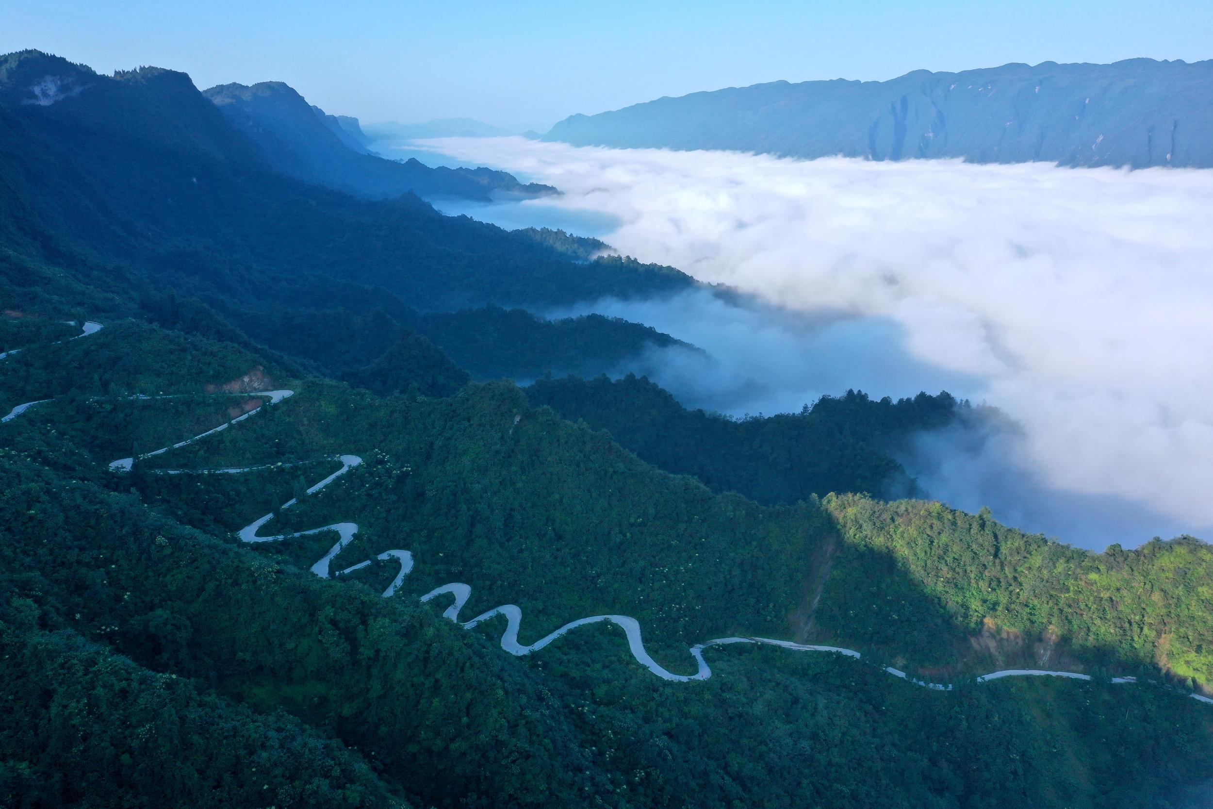 山东菏泽生猪价格，时代印记与市场的波动