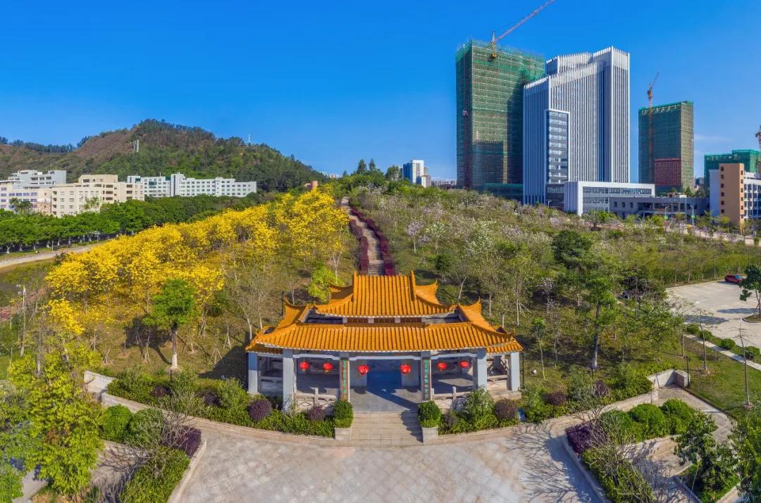 惠州最新招聘信息，工作与家的美好交融故事