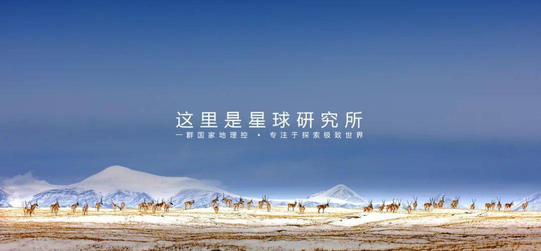 巨鹿最新招聘信息发布，启程探索自然美景，寻找内心平和的工作机会