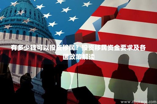 投资移民最新政策深度解析与观点阐述