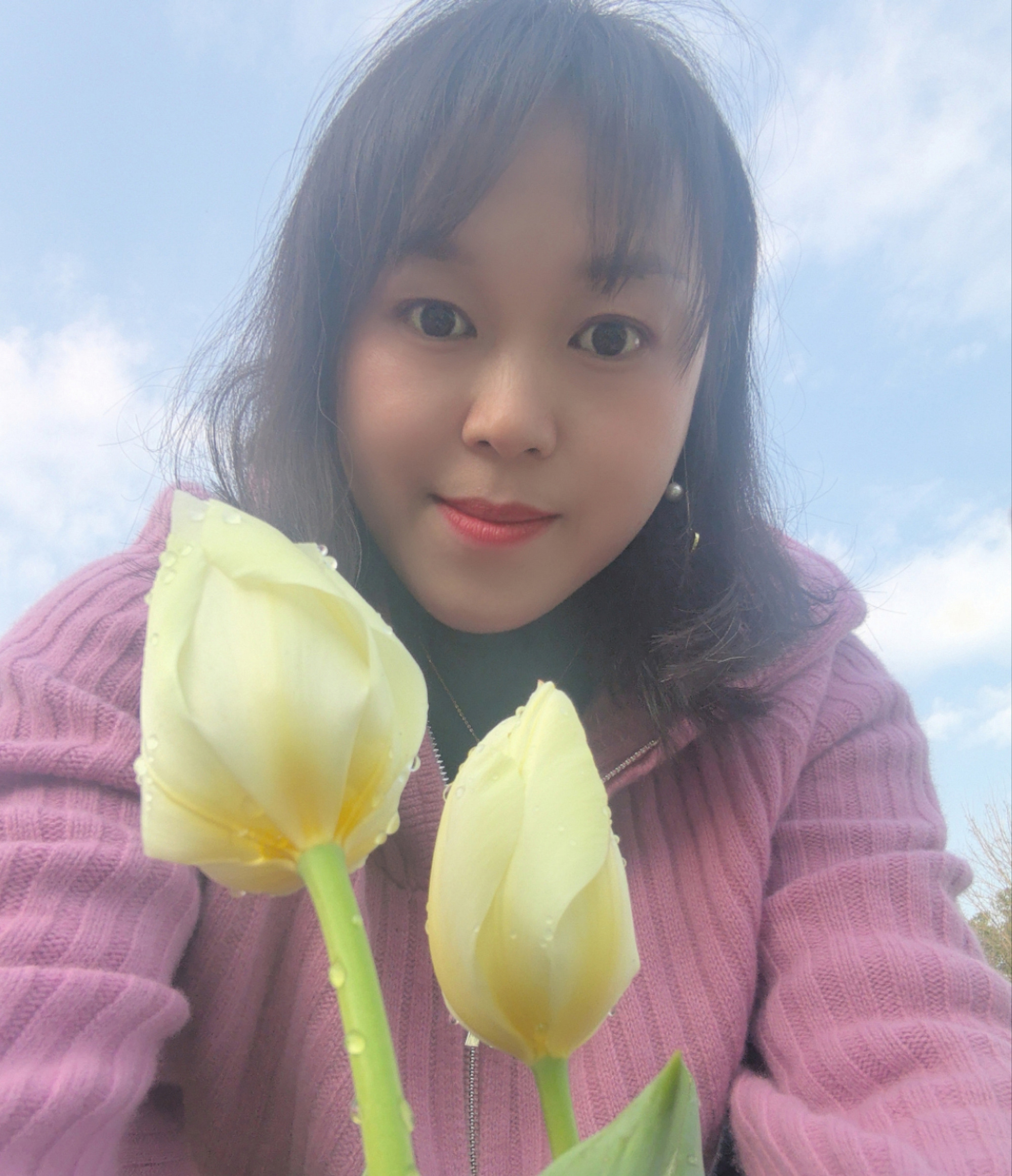 最新征婚启事，开启温馨有趣的寻爱之旅