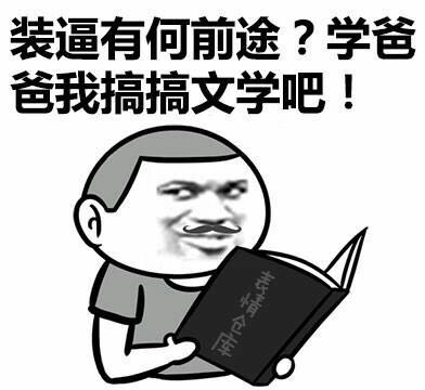 最新斗图盛宴，一场学习与变化的冒险之旅